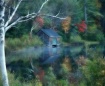 Painted Fall Boat...