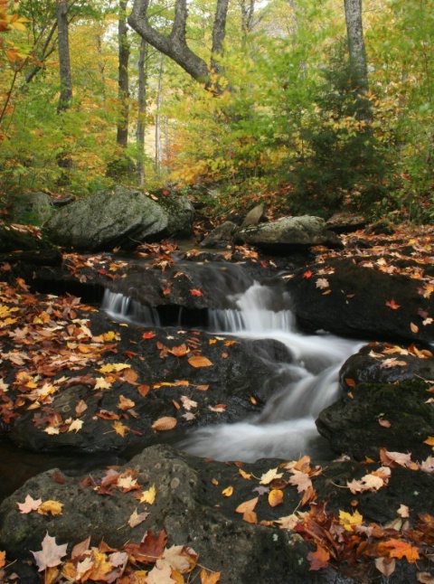 Autumm Cascade...