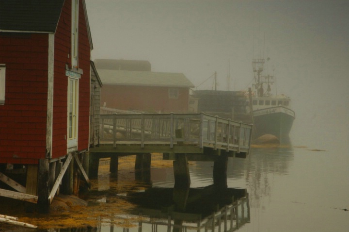 Nova Scotia Fog