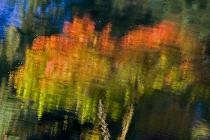 Autumn Reflection