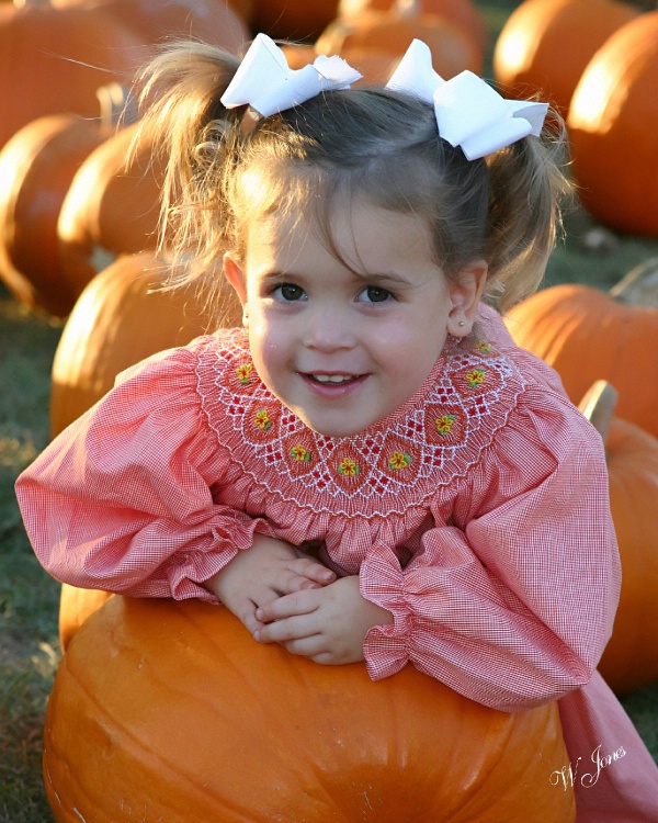 I want this pumpkin!