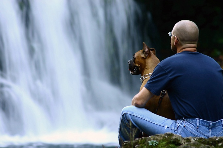 Man and Dog