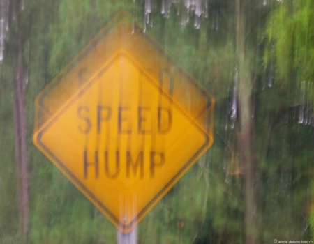 Speed Impediment