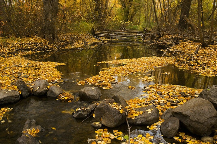 Fall Colors Along the Yakima River - ID: 1336048 © John Tubbs