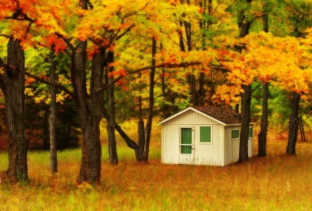 Little Cabin In The Woods