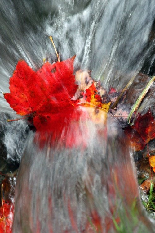 Splash into Fall 