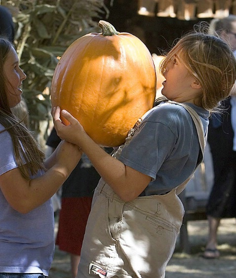 Girls struggling with their pumpkin