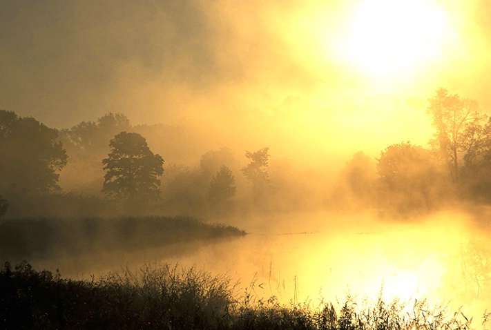 Misty Morning - ID: 1347059 © Averie C. Giles