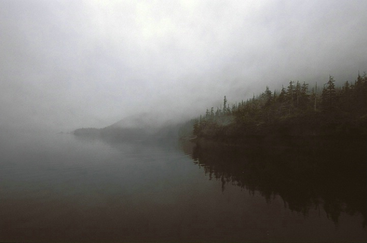 Foggy Coast - ID: 1347165 © Averie C. Giles
