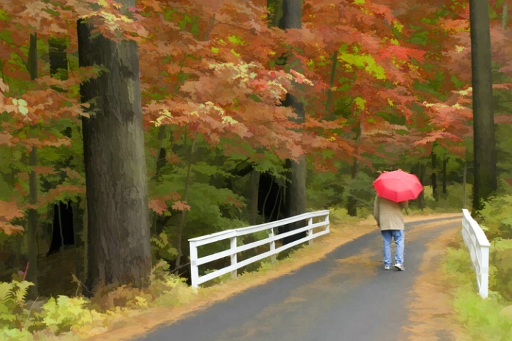 Singing In The Rain