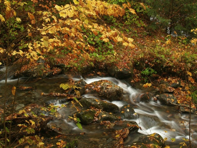 Kancamagus Creek flow, NH - ID: 1351239 © Daryl R. Lucarelli