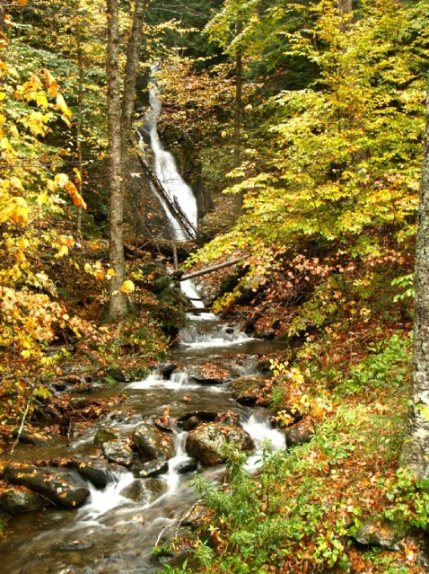 NH Creek waterfall - ID: 1351241 © Daryl R. Lucarelli