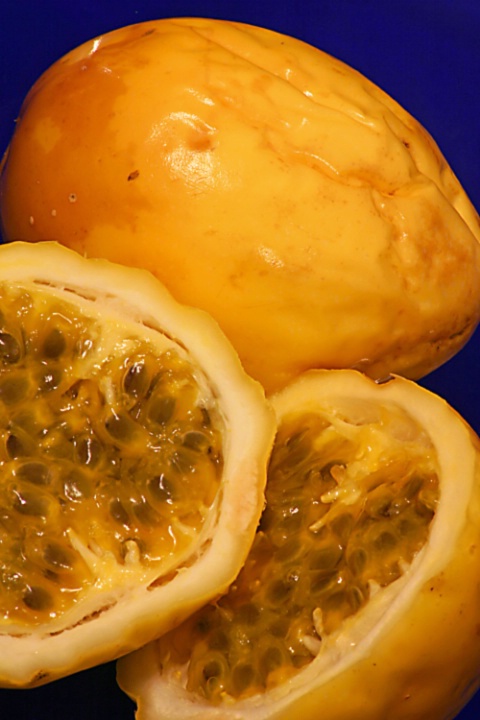 Passion Fruit