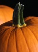 Pumpkins are Read...