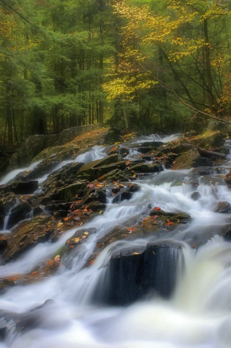 Fall In The Adirondacks