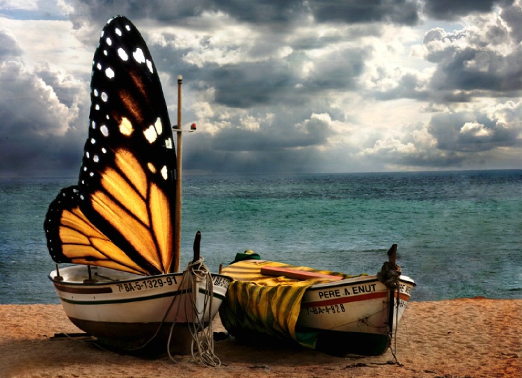 Butterfly boats