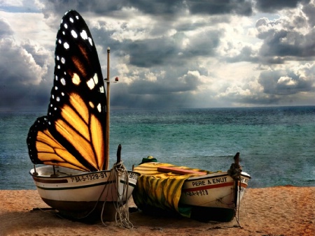 Butterfly boats