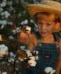 Cotton patch kid