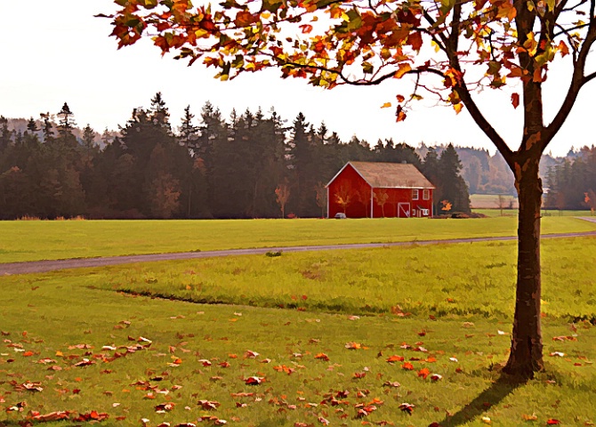 Out in the country