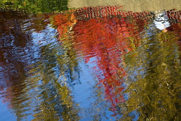 Reflections of Fall in Slough - ID: 1359306 © John Tubbs