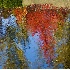 2Reflections of Fall in Slough - ID: 1359306 © John Tubbs