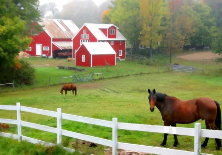 Farm in Maine
