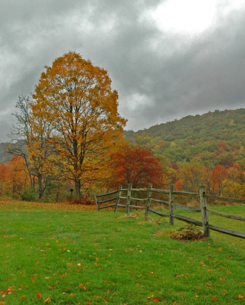 Fall colors under a stormy sky