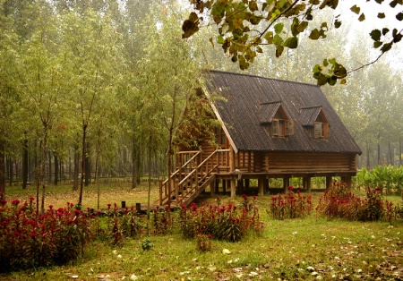 A house in the wood