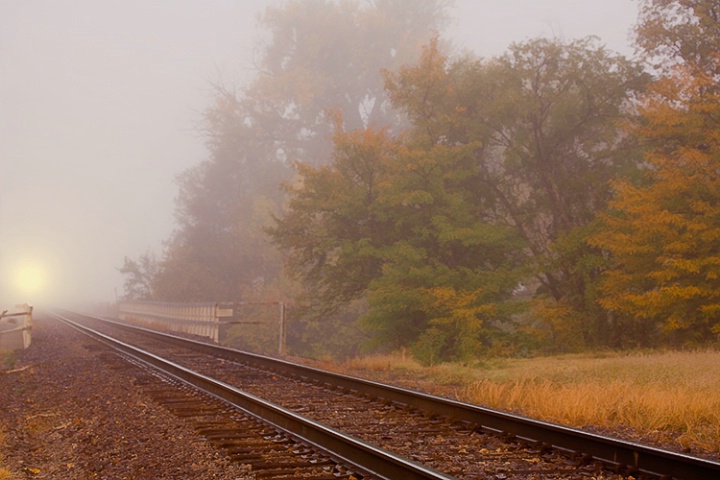 Foggy Morning Train