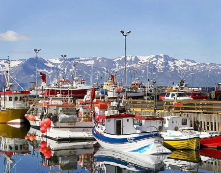 Husavik Harbor in Iceland