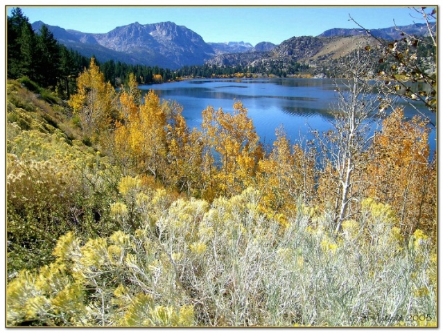 June Lake