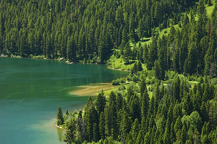 Shades of Green - ID: 1375998 © Averie C. Giles