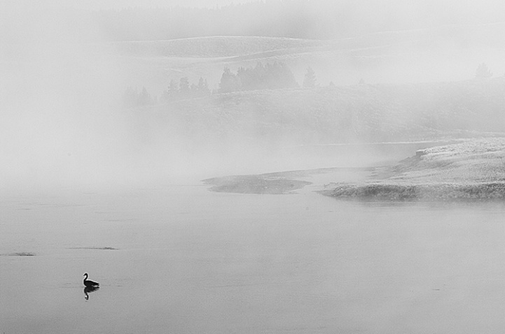 Out of the Fog - ID: 1376030 © Averie C. Giles