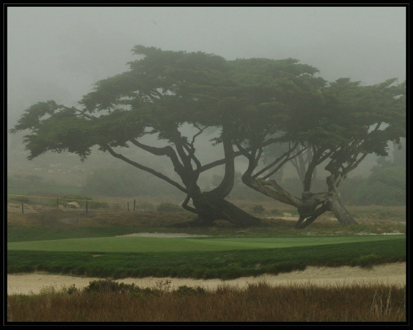 Morning Golf