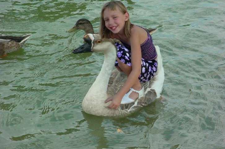 Amanda and the Giant Goose