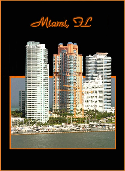 ~Miami Cityscape~