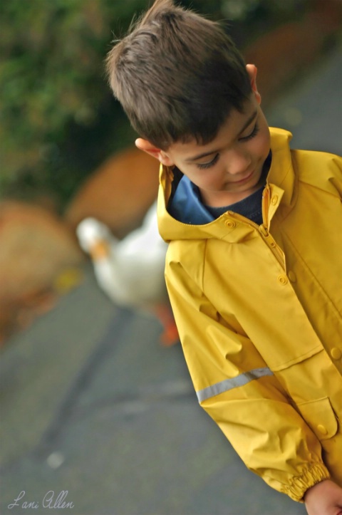 A Boy and his Duck