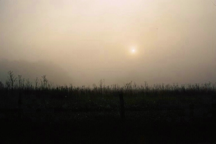 Morning Sun, Great Smokey Mtn N.P., 10.21.05 - ID: 1387077 © Michael S. Couch