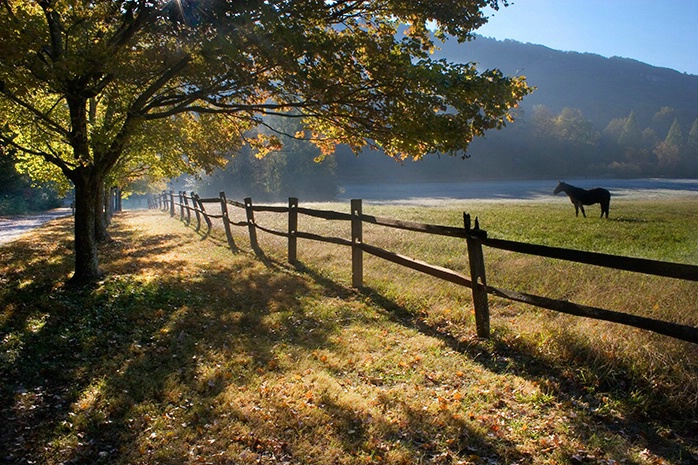 Fence in Mist and Morning Light 10-29-05 - ID: 1390282 © Robert A. Burns