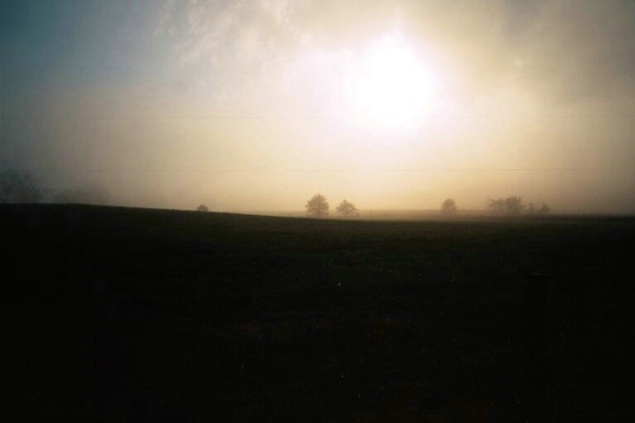 Foggy Sunrise, Great Smokey Mtns. N.P. - ID: 1390534 © Michael S. Couch