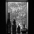 © Carolyn  M. Fletcher PhotoID# 1391776: Window*