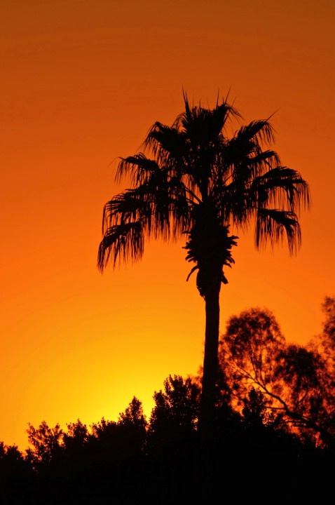 Sunset in Phoenix - ID: 1393822 © Don Johnson