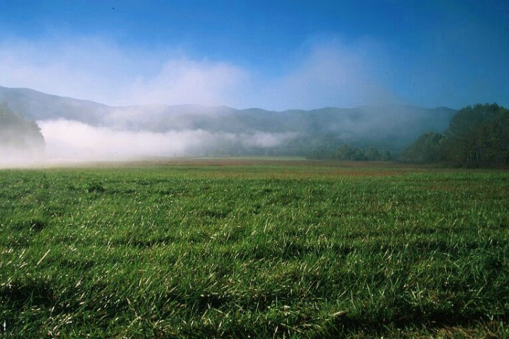 Morning Fog, Great Smokey Mountians N.P. - ID: 1395294 © Michael S. Couch