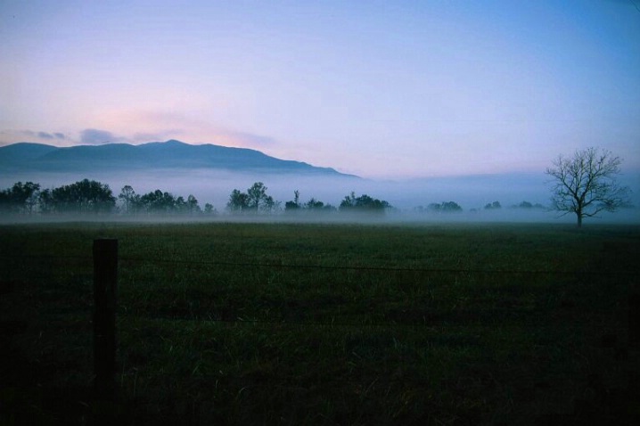 Sparks Lane, Great Smokey Mountains N.P. - ID: 1395595 © Michael S. Couch