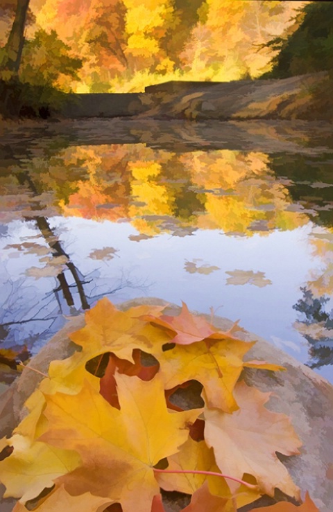 Fall Reflections