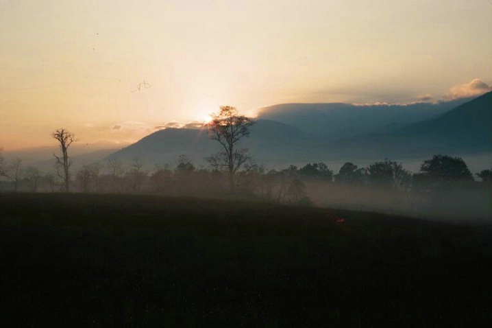 Mountain Sunrise 4, Great Smokey Mtns. N.P. - ID: 1400045 © Michael S. Couch