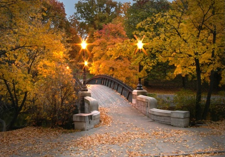 The Walking Bridge At Dusk