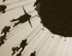 I can fly!!