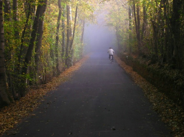 Riding into the mist