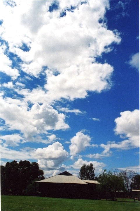 blue sky over the roof tops